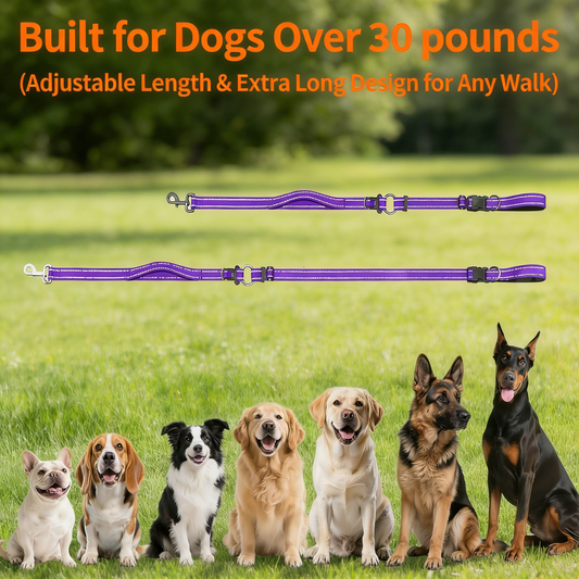 Hands-Free Adjustable Reflective Dog Leash for Large Dogs Over 30 Pounds