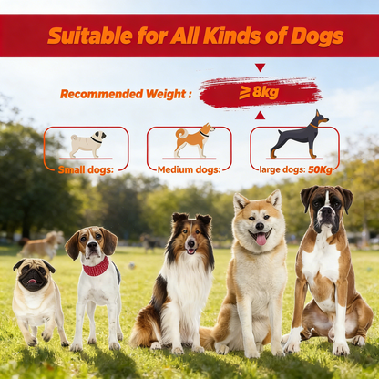 Hands-Free Adjustable Dog Leash – Crossbody Waist Leash for Walking, Hiking & Running