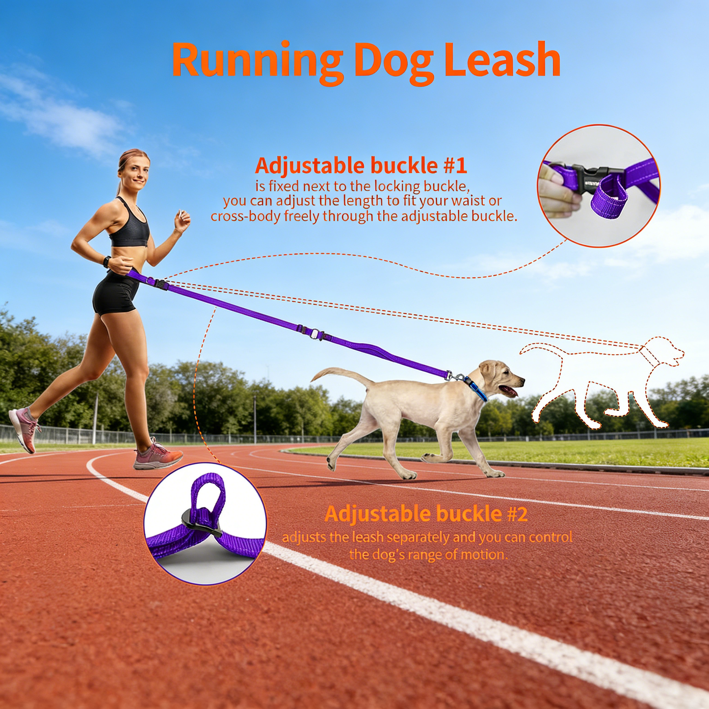 Hands-Free Adjustable Reflective Dog Leash for Large Dogs Over 30 Pounds